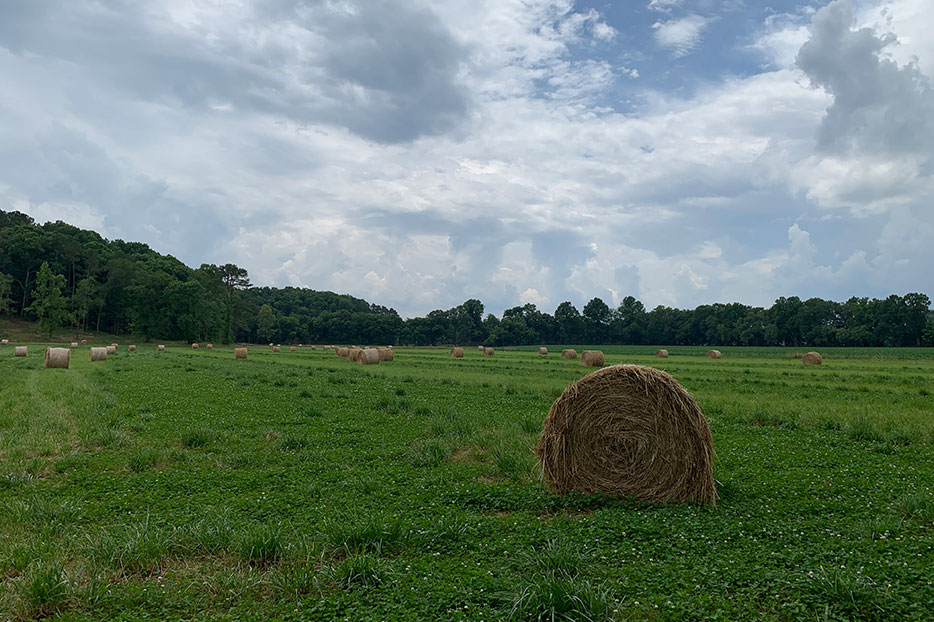 Acreage